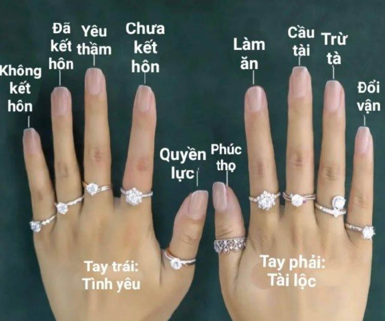 Điều thú vị về nhẫn cưới quay phim video cưới đẹp Tuy Hòa Phú Yên (3)